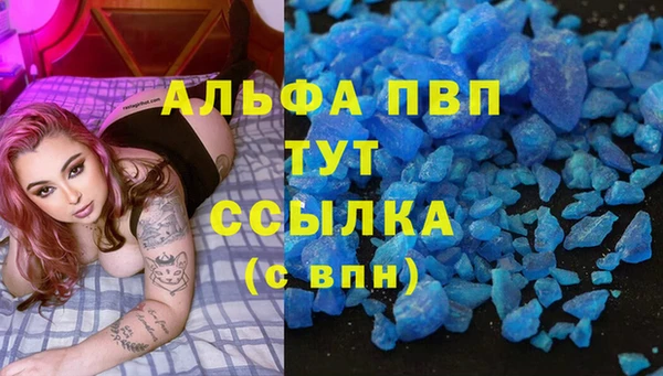 ПСИЛОЦИБИНОВЫЕ ГРИБЫ Абаза