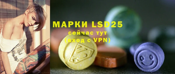 ПСИЛОЦИБИНОВЫЕ ГРИБЫ Абаза