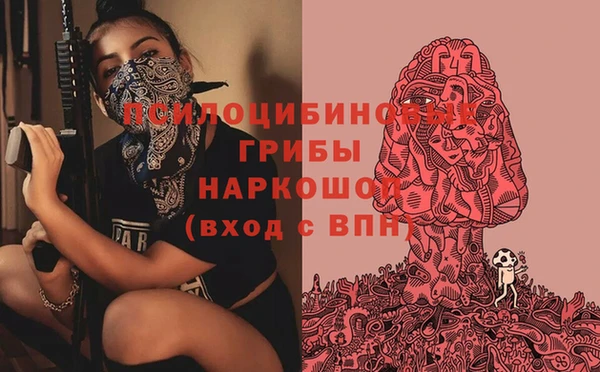 сатива Абинск