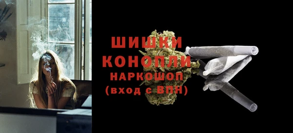 сатива Абинск