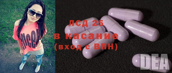 ПСИЛОЦИБИНОВЫЕ ГРИБЫ Абаза