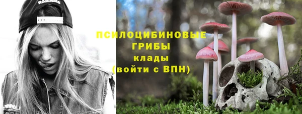шишки Приозерск
