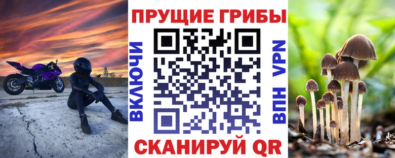 Галлюциногенные грибы мицелий Шахунья