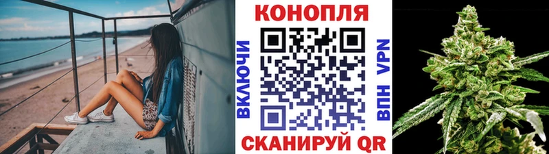 где продают наркотики  Шахунья  Шишки марихуана индика 